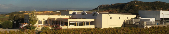 Alkimia, Grombalia, vin blanc, vin rosé, vin rouge, vente, en ligne, production, tunisie